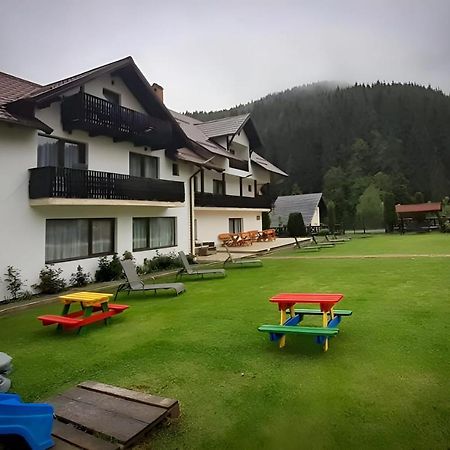 Vila Larisa Apartment Moeciu De Sus Bagian luar foto